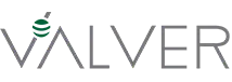 VALVER-logo-index